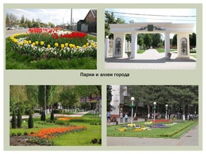 Ракурс кропоткин. Кропоткин (город). Город Кропоткин проект. Мой город Кропоткин. Город Кропоткин аллея.